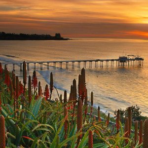 Scripps Pier Cliffs outlook with pier in distance